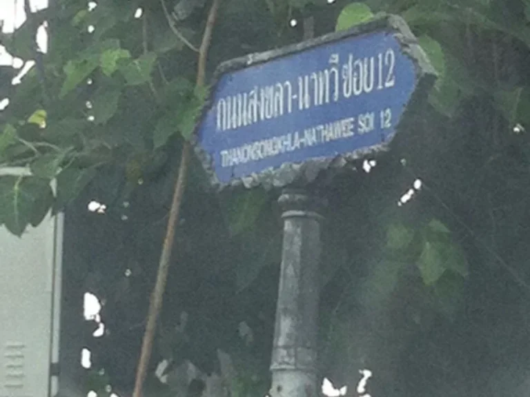 ขายที่ดิน เข้าซอยวัดเกาะถ้ำ จำนวน 4 ห้องๆละ 210000 บาท