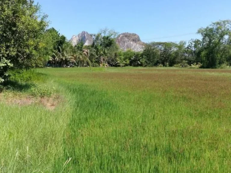 ขายที่ดินทำเลดี ราคาถูกในเมืองราชบุรี