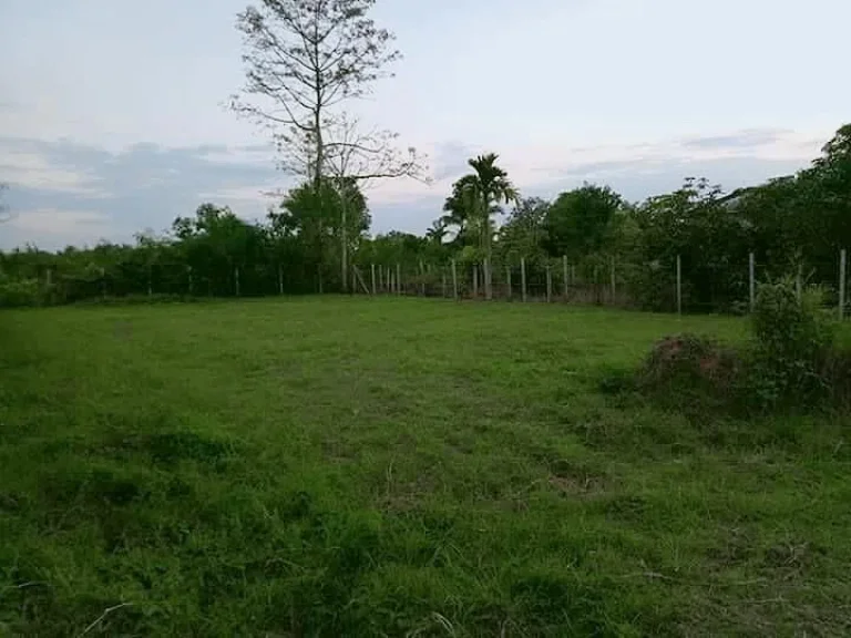 ขายที่ดินสันทรายหลวง ทำเลดี แหล่งชุมชน