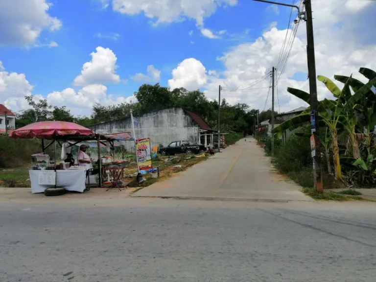 ขายที่ดิน75ตรว เพชรเกษม41 ซอยเพชรสมบูรณ์