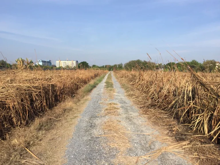 โกดังให้เช่าพร้อม ที่ดิน 2ไร่ ถนนพุทธมณฑลสาย3 กรุงเทพฯ