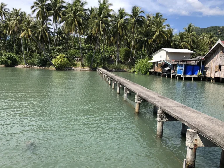 ขายที่ดินเปล่าถมแล้วมีโฉนดติดทะเลวิวสวย 10 ไร่ เกาะช้าง จังหวัดตราด