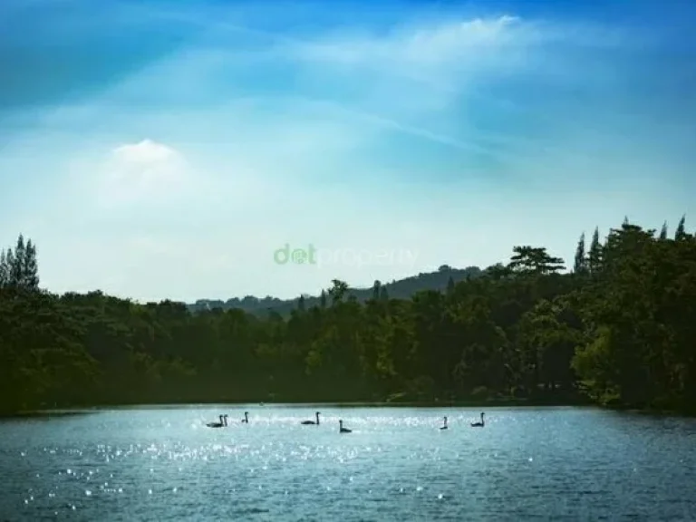 ขายคอนโด Swan Lake Khao Yai ราคาถูกมากอย่างสวย รีบขายดาวน์