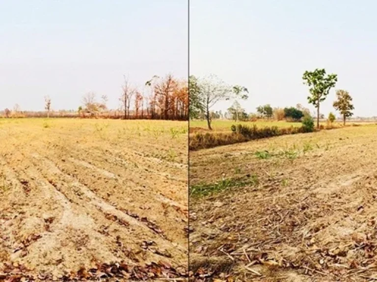 ขายถูกขายด่วน ที่ดินที่นา บ้านทุ่งปลากัด อำเภอสว่างแดนดิน จังหวัดสกลนคร