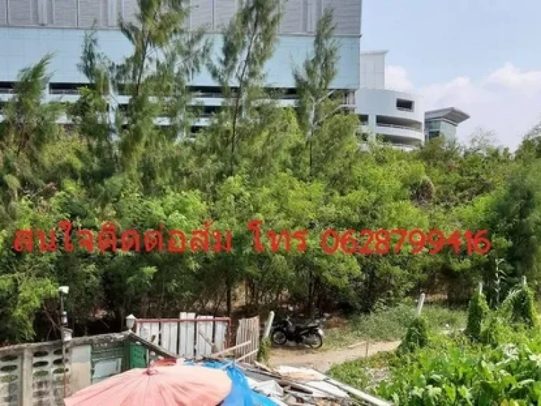 ขาย 23 ล้าน หอพักซอยหลังเซ็นทรัลพระราม 2 ผู้เช่าเต็ม 70ห้อง yield 9 สนใจโทรมาด่วนค่ะ