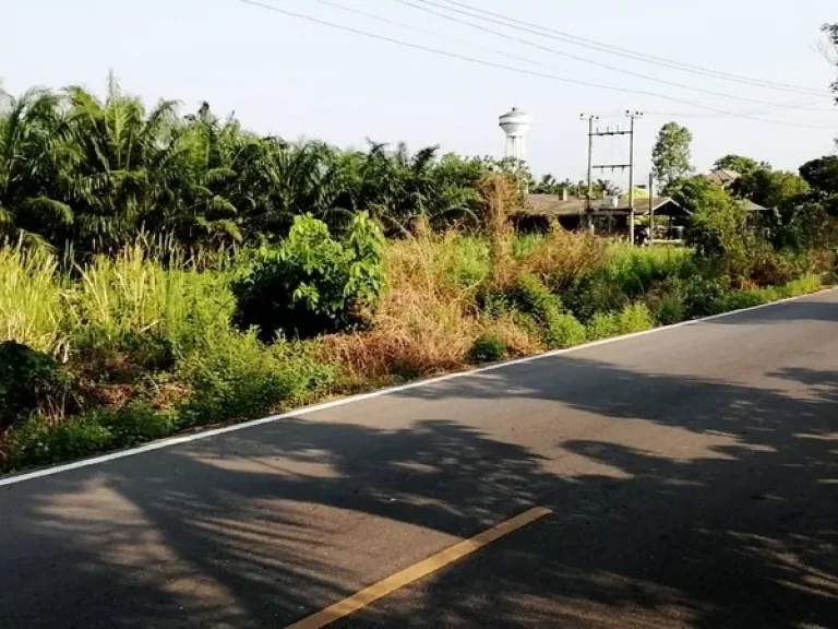 ขายที่ดินถูกมาก 15 ไร่ ติดถนนหนองเสือ พร้อมสวนปาล์ม มีรายได้ รังสิต-นครนายก หนองเสือ ปทุมธานี