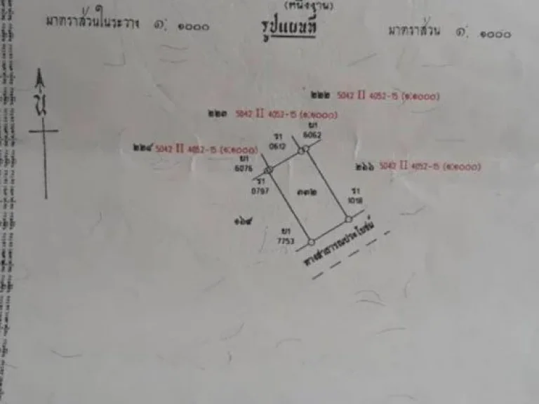 ขายที่ดิน 100 ตรวใกล้เมืองพิษณุโลก