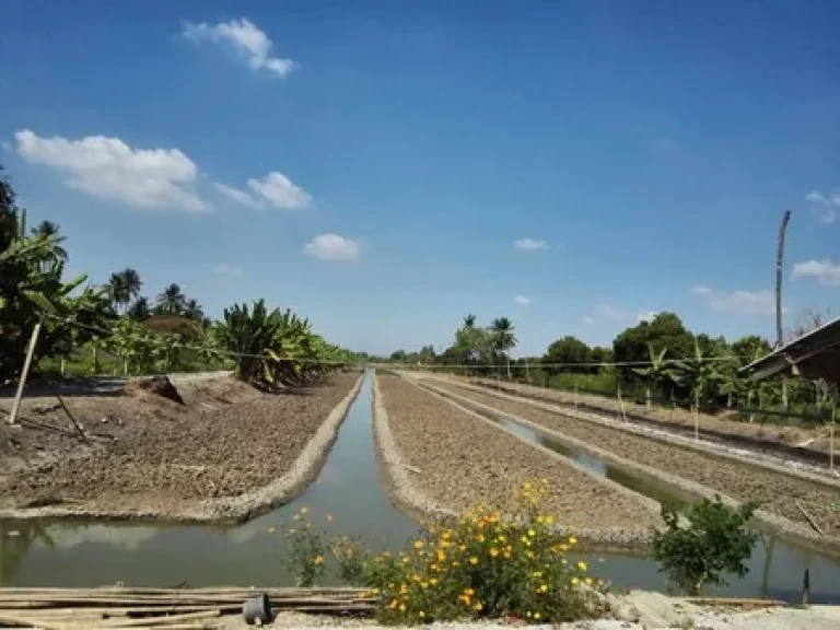 ขายที่ดินทำเลสวย ติดหมู่บ้านอินนิซิโอ บางกรวย นนทบุรี เนื้อที่ 12 ไร่ 281 ตรว