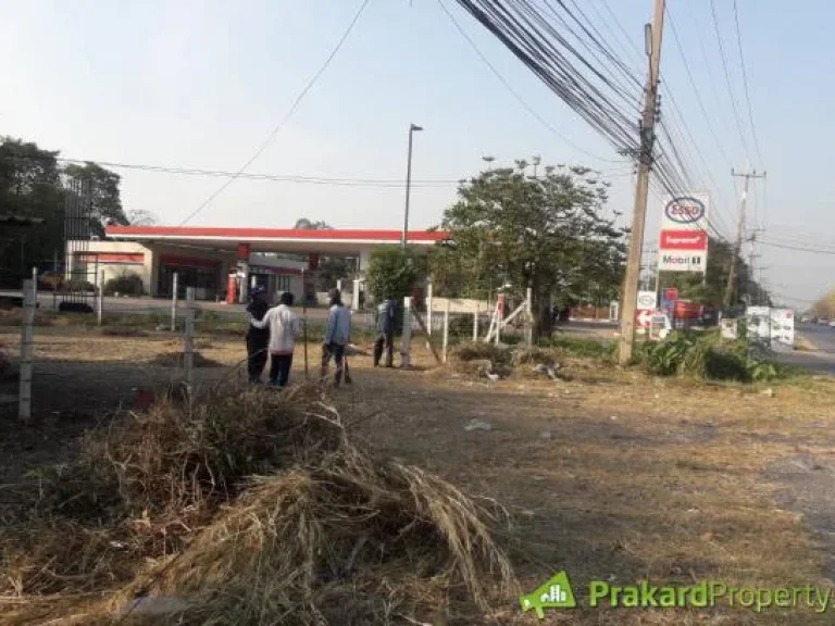 ให้เช่าที่ดิน 200 ตรวา ติดปั๊ม ESSO แถวบ้านนา นครนายก