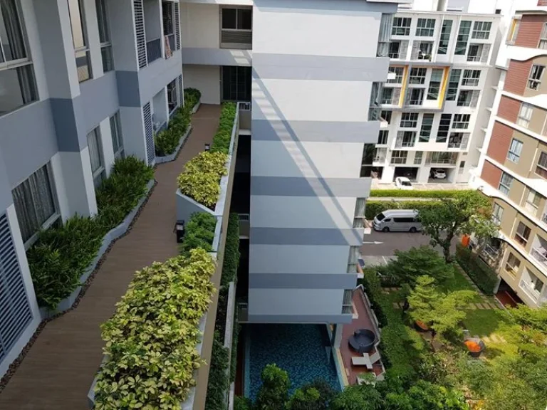 For rent Whizdom Punnawithi Station Condo ให้เช่า วิสซ์ดอม ปุณณวิถี สเตชั่น