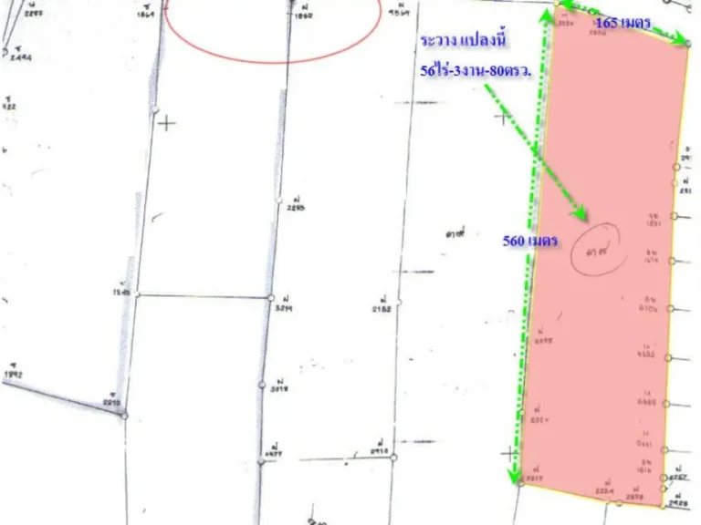 ขายที่ดิน ผักขะ ติดถนนใหญ่ หน้ากว้าง 165 เมตร เจ้าของขายเอง