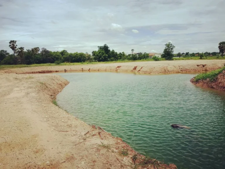 ที่ดินขายถูก 2 ไร่ 30 ล้านบาท ใกล้เซ็นทรัล บรรยากาศดี