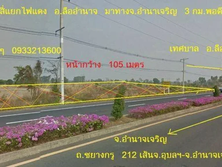 ที่ดินทำเลทอง แบ่งหรือขายยกแปลง ติดถนนชยางกูร 212 สายอาเซียน AEC ใกล้ตัวเมืองอำเภอลืออำนาจ จอำนาจเจริญ