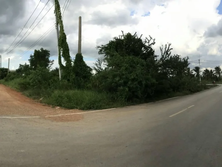 ขายที่ดิน 200 ตรว ใกล้ถนนกาญจนาภิเษกและวัดทองสะอาดแปลงหัวมุมเหมาะทำการค้า