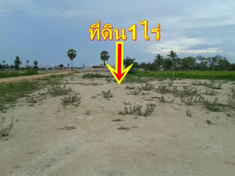 ขายที่ดิน1ไร่ถมแล้วในโครงการหมู่บ้านพฤกปรีชาชะอำ1เพชรบุรี ใกล้ถนนบายพาสชะอำหัวหิน650เมตร ใกล้ตลาดสดชะอำ25กมขาย27ล้านบ