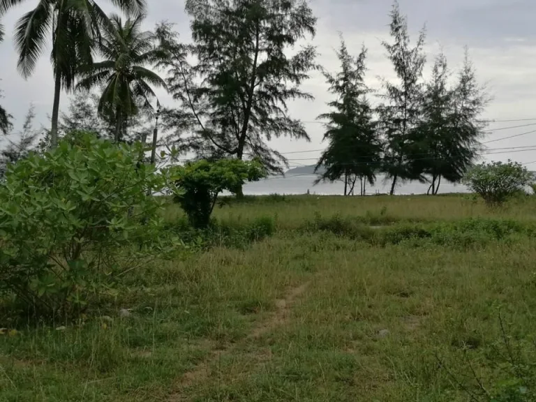 ขายด่วน ที่ดินบางสะพานน้อย 200 ตรวใกล้ทะเล แค่ 30 เมตร หาดแหลมสน