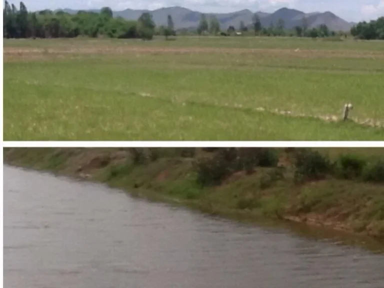 ที่ดินโฉนดติดถนน ติดคลองเกือบ 4 ไร่ เหมายกแปลง 1000000 บาทพร้อมโอน