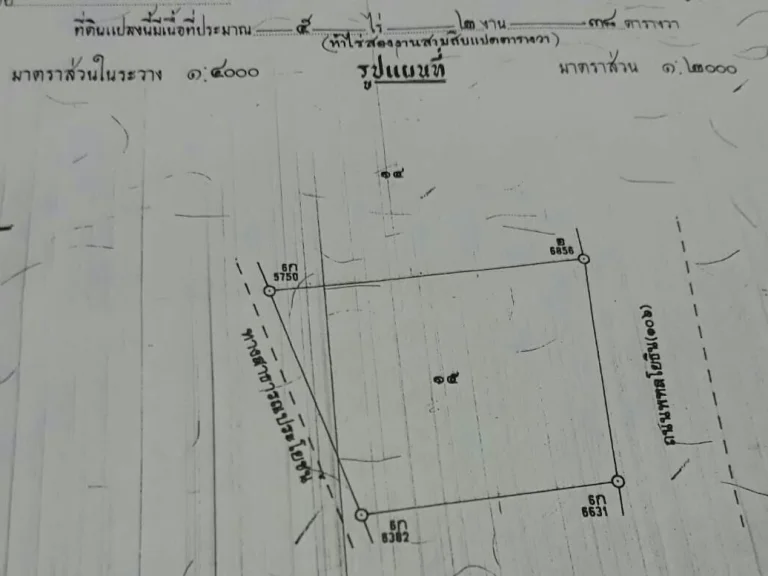 ขายที่ดินติดถนนพหลโยธินสาย106 จำนวน 5-2-38 ไร่ ราคาถูก