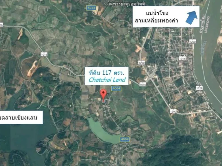 ที่ดินสวย 117 ตรว ต้นลำใย ใกล้ทะเลสาบเชียงแสนใกล้สามเหลี่ยมทองคำ