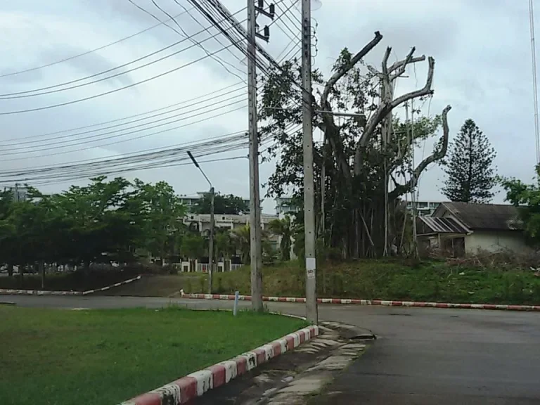 ที่ดินเปล่าเมือง 3 ไร่กว่า ใกล้สวนหลวง ถศักดิ์เดช