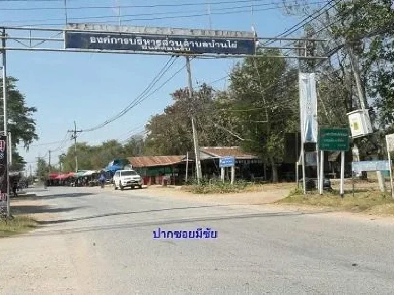 ขายที่ดิน 270 ตรว หลังศูนย์มีชัย บ้านไผ่ ขอนแก่น