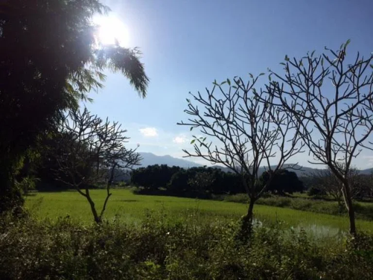 ที่ดินติดแม่น้ำแม่ริม ใกล้โรงเรียนนานาชาติเปรม แม่ริม เชียงใหม่