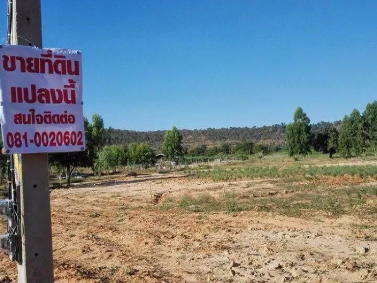 ขายด่วนที่ดินถมแล้ว ราคาถุก Land for sell korat