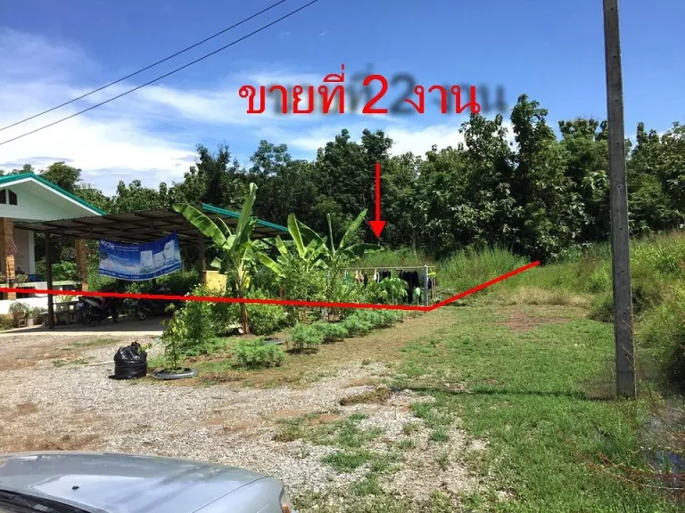 ขายที่ 2 งานโฉนด ในหมู่บ้าน มีไฟฟ้า น้ำประปาพร้อม