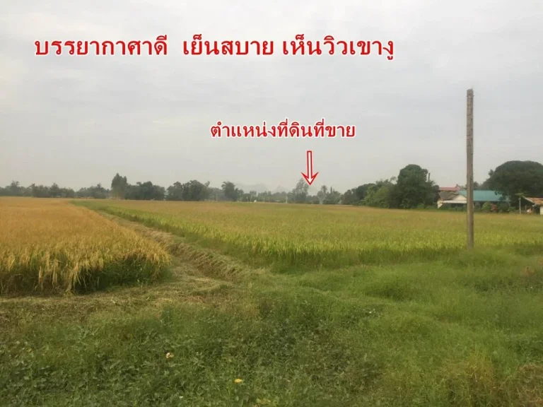 ที่ดิน 12ไร่ ใกล้สนามราชบุรีมิตรผล ติดคลองชลประทาน