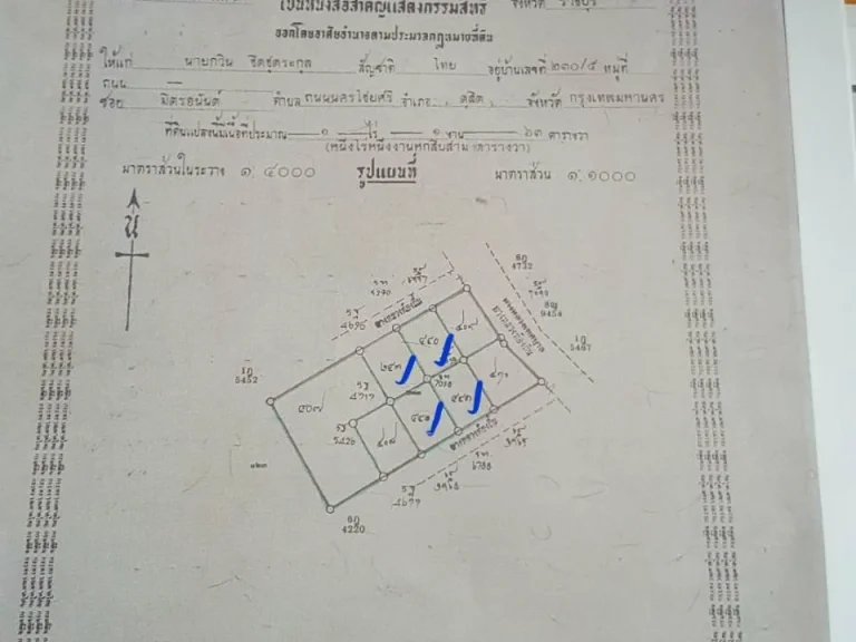 ที่ดินแบ่งขายมี 4 ผืนๆละ250000