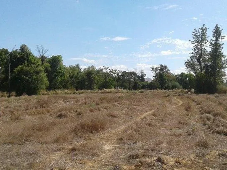 ขายที่ดินในจังหวัดอุบลราชธานีี