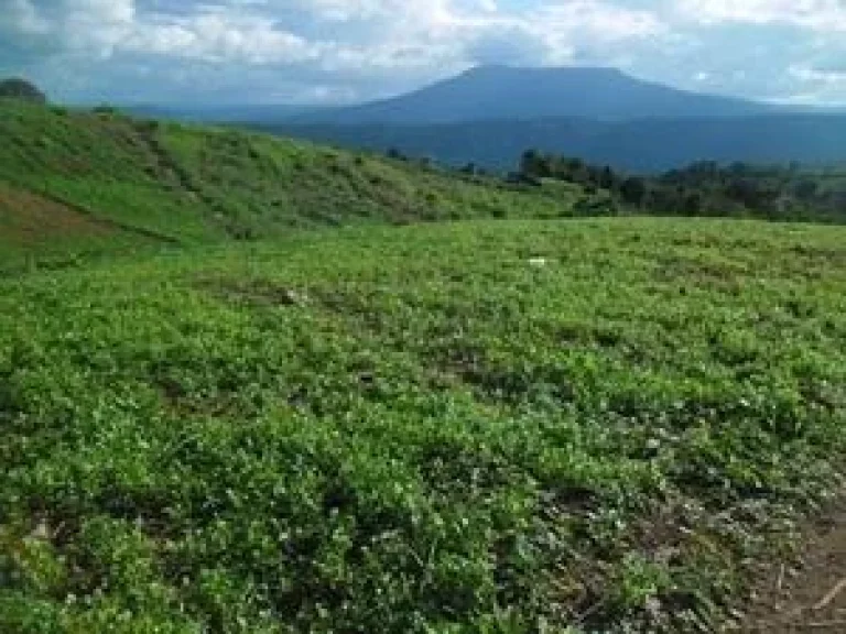 จัดหาที่ดินในแบบที่ท่านต้องการ