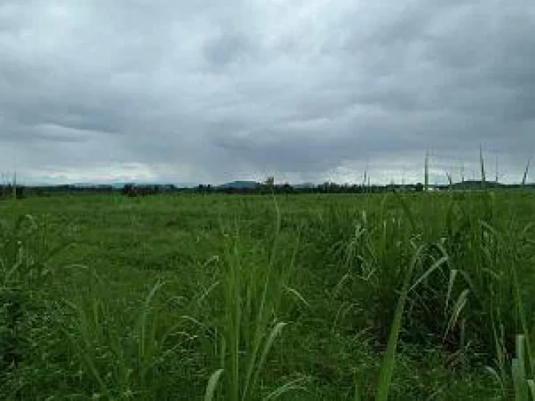 Sale Large Land Suburban of Kanchaburi with Chanote Title Suitable for Big Projects