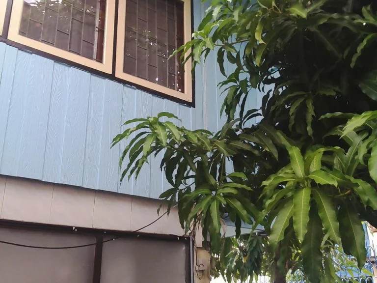 House with smaller garden on Sukhumvit for rent Private Conner