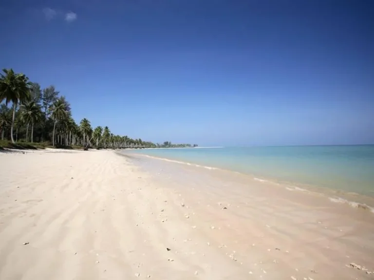 ขายที่ดิน ติดหาดเขาหลัก แหลมปะการัง จพังงา 245 ไร่ โฉนดที่ดิน