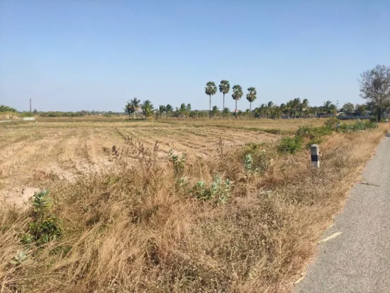 ที่ดินเปล่า เนื้อที่ 3ไร่ โครราช ด่านขุนทด