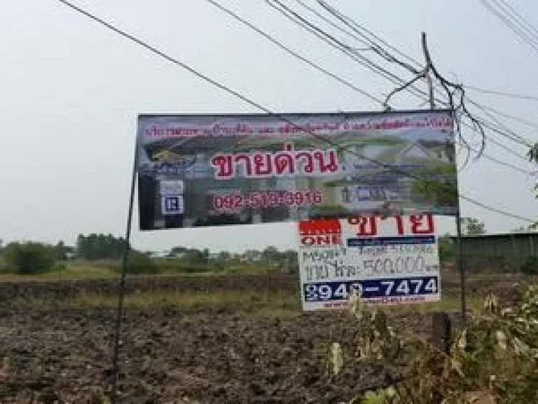 ที่ดินโฉนด 99 ไร่ ต พุเตย อ วิเชียรบุรี เพชรบูรณ์