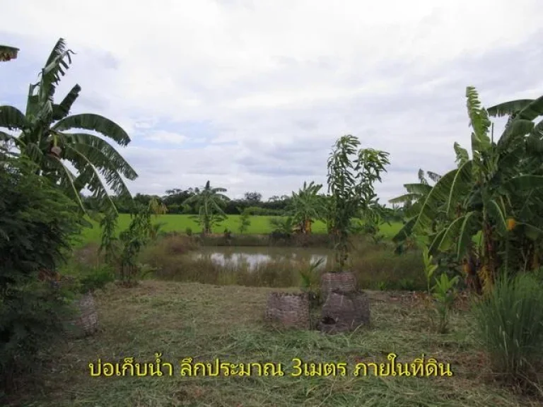 ขายที่ดิน อำเภอสองพี่น้องสุพรรณบุรี 3ไร่พร้อมทำเกษตร