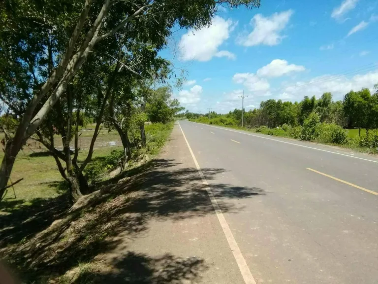 ที่ดินใกล้เมือง อสุวรรณภูมิ