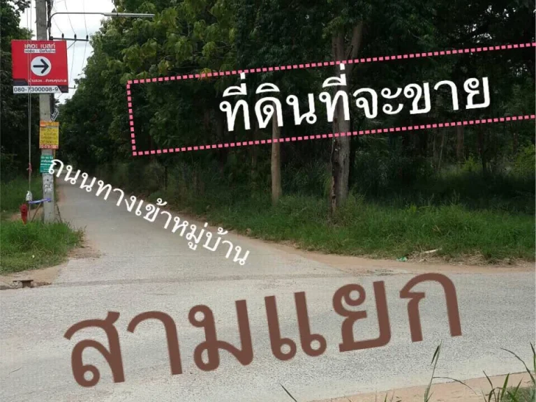 ขายที่ดินจอหอ เนื้อที่ 11-0-61 ไร่ ตำบลจอหอ อำเภอเมือง จังหวัดนครราชสีมา ติดทางสาธารณประโยช