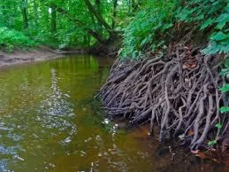 สวนทุเรียน พร้อมบ้าน ติดลำธาร วิวเขาสวย ใกล้ทะเล โฉนด 6 ไร่ เพื่อวัยเกษียน