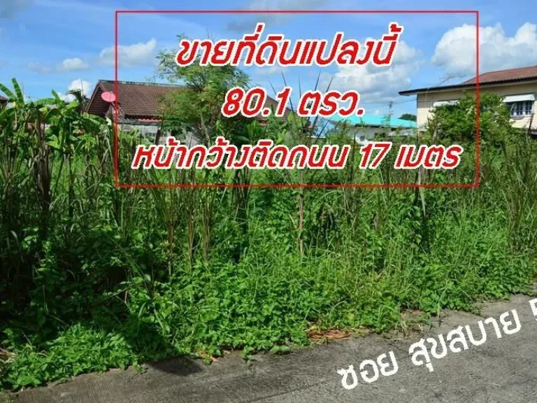 ขายที่ดินปลูกบ้าน 801 ตรว ซสุขสบาย5 โนนทัน ตในเมือง ใกล้ รพศูนย์ขอนแก่น