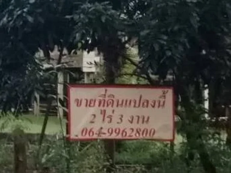 ขายที่ดินติดถนนติดแม่น้ำเขตเทศบาล 2ไร่ 3งาน มีโฉนด