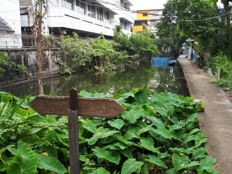  เจ้าของขายเอง ที่ดินสวย บางกอกใหญ่ 