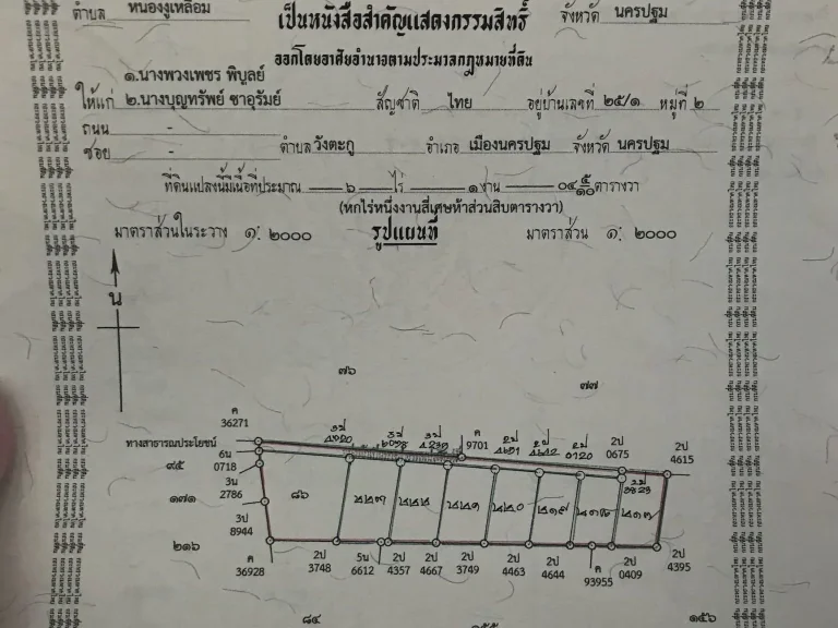 แบ่งขายที่ดินหนองงูเหลือม อยากได้ที่ทักพี่มาเลย