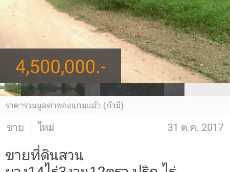 ขายที่ดินสวนยาง14ไร่3งาน12ตรวปริกไร่ละ300000บาท