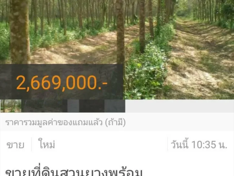 ขายที่ดินสวนยางพร้อมเบิก7ไร่86ตรวที่ทุ่งลานไร่ละ370000