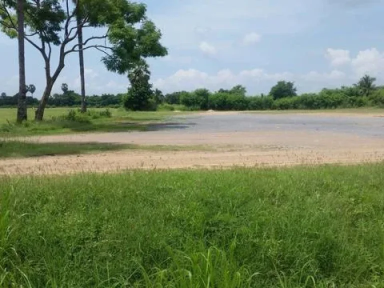 ที่ดิน 12 ไร่ ถมที่แล้ว ติดถนนสายหลักพระพุทธบาท-ท่าเรือ