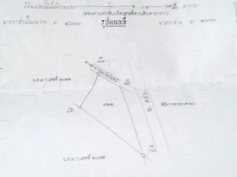 ขายที่โฉนดราคาถูก267ตรว