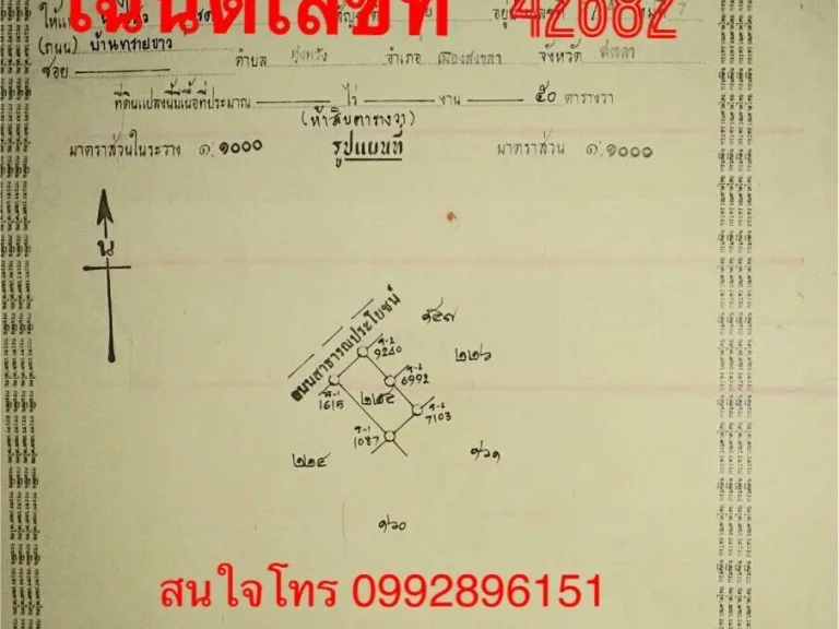 ขายที่ดินเกาะยอใกล้ทิพยสถานธรรมภิกษุณีเกาะยอ